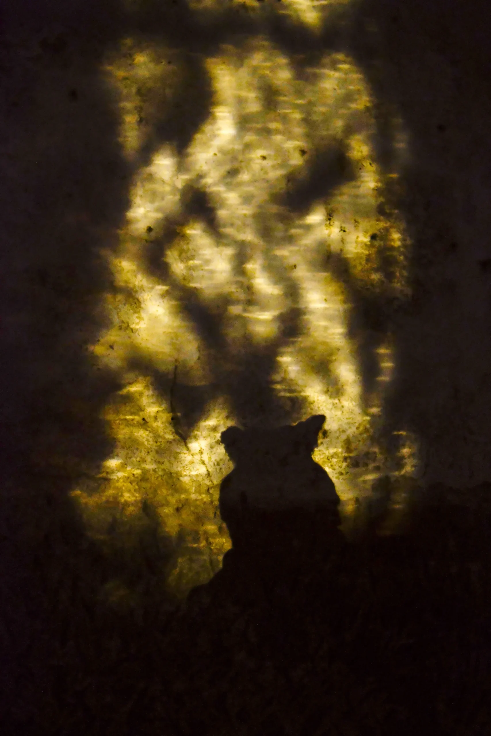 Image de Serge le Squer